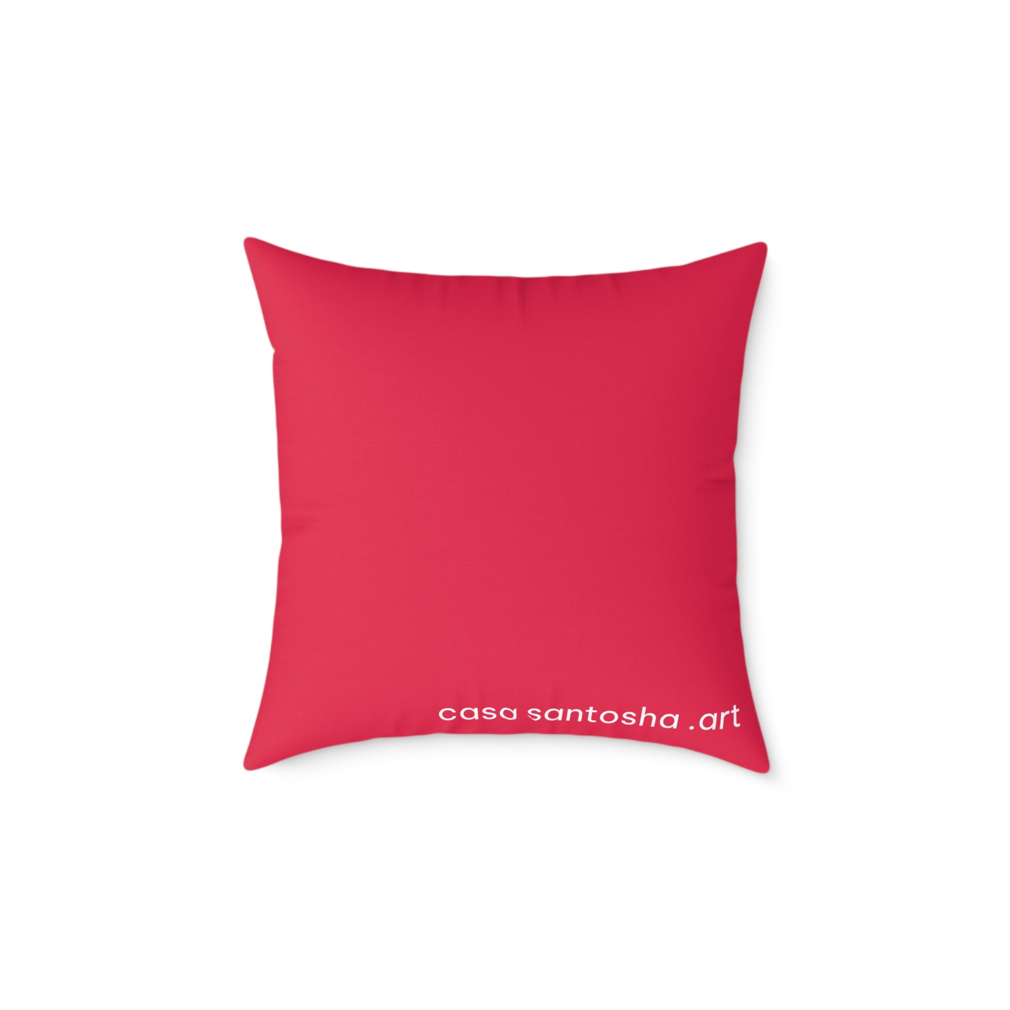 Cyclops Hummingbirds Art Canvas Decorative Pillow