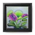 Framed Cyclops Venus Fly Trap Canvas Print