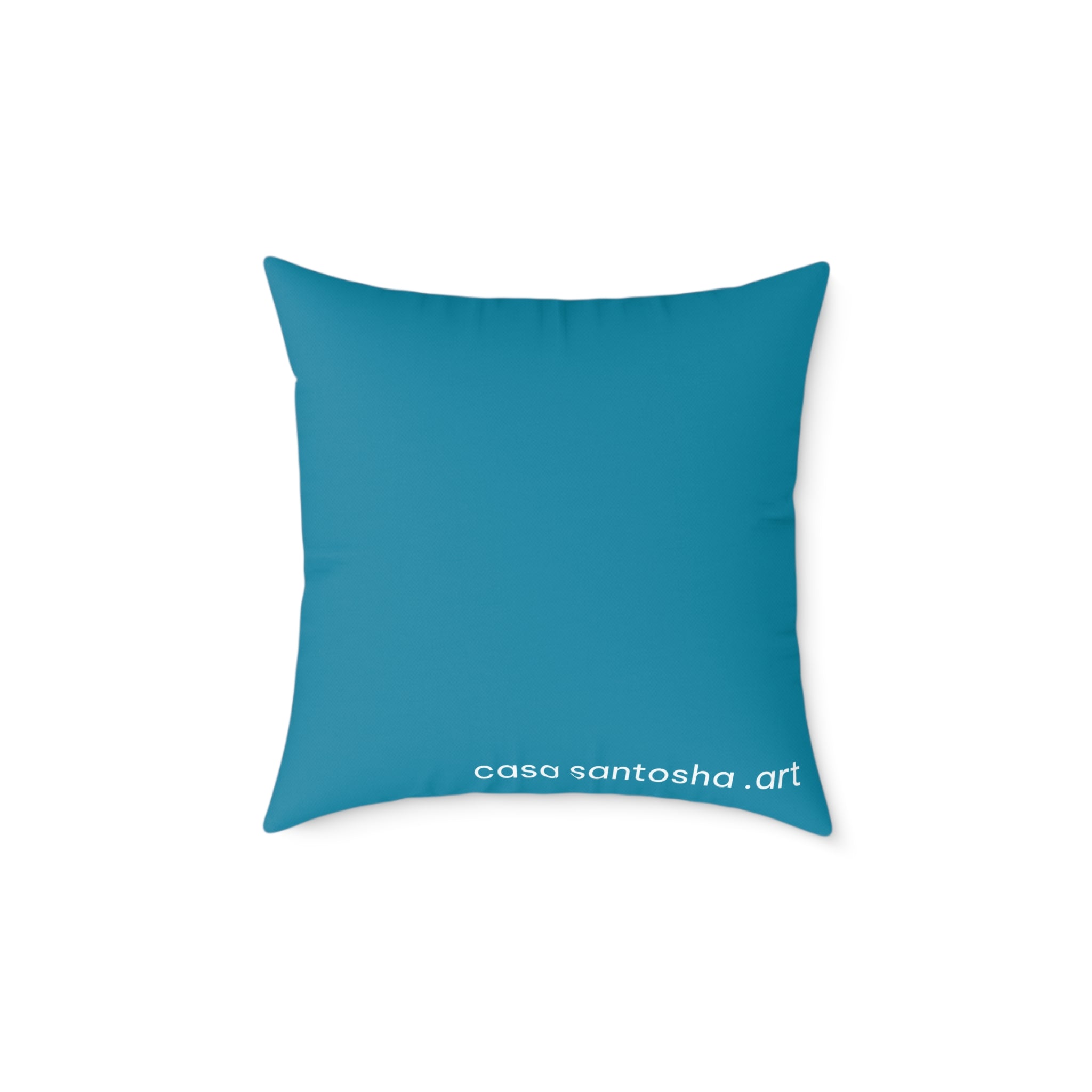 Cyclops Turtle Art Canvas Decorative Pillow