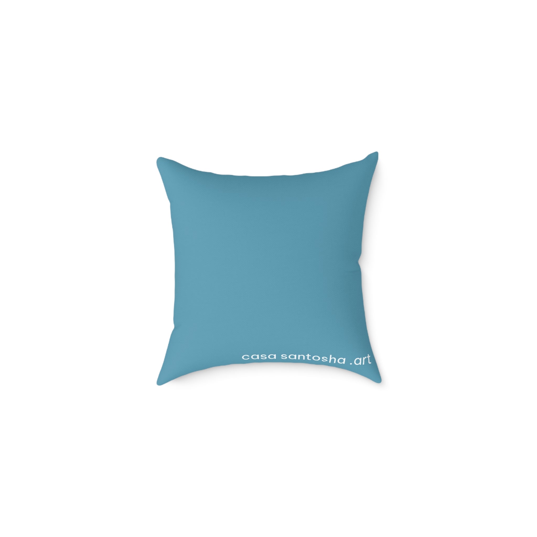 Panga Express Art Canvas Decorative Pillow