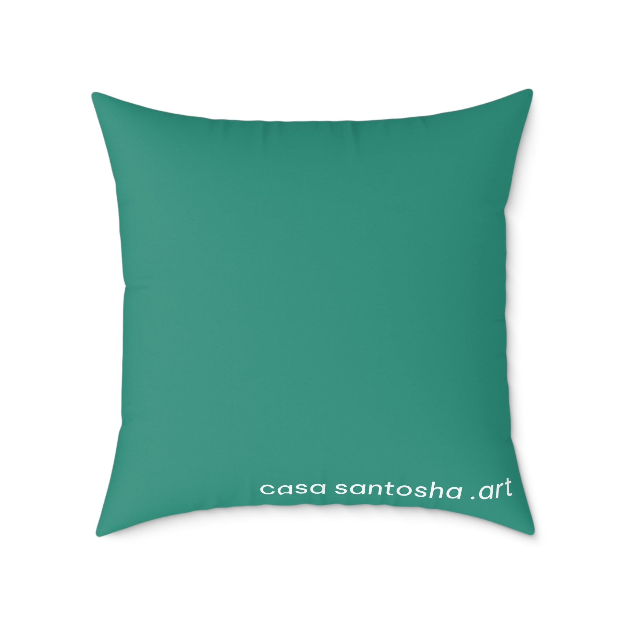Chatty Cyclops Parrots Art Canvas Decorative Pillow