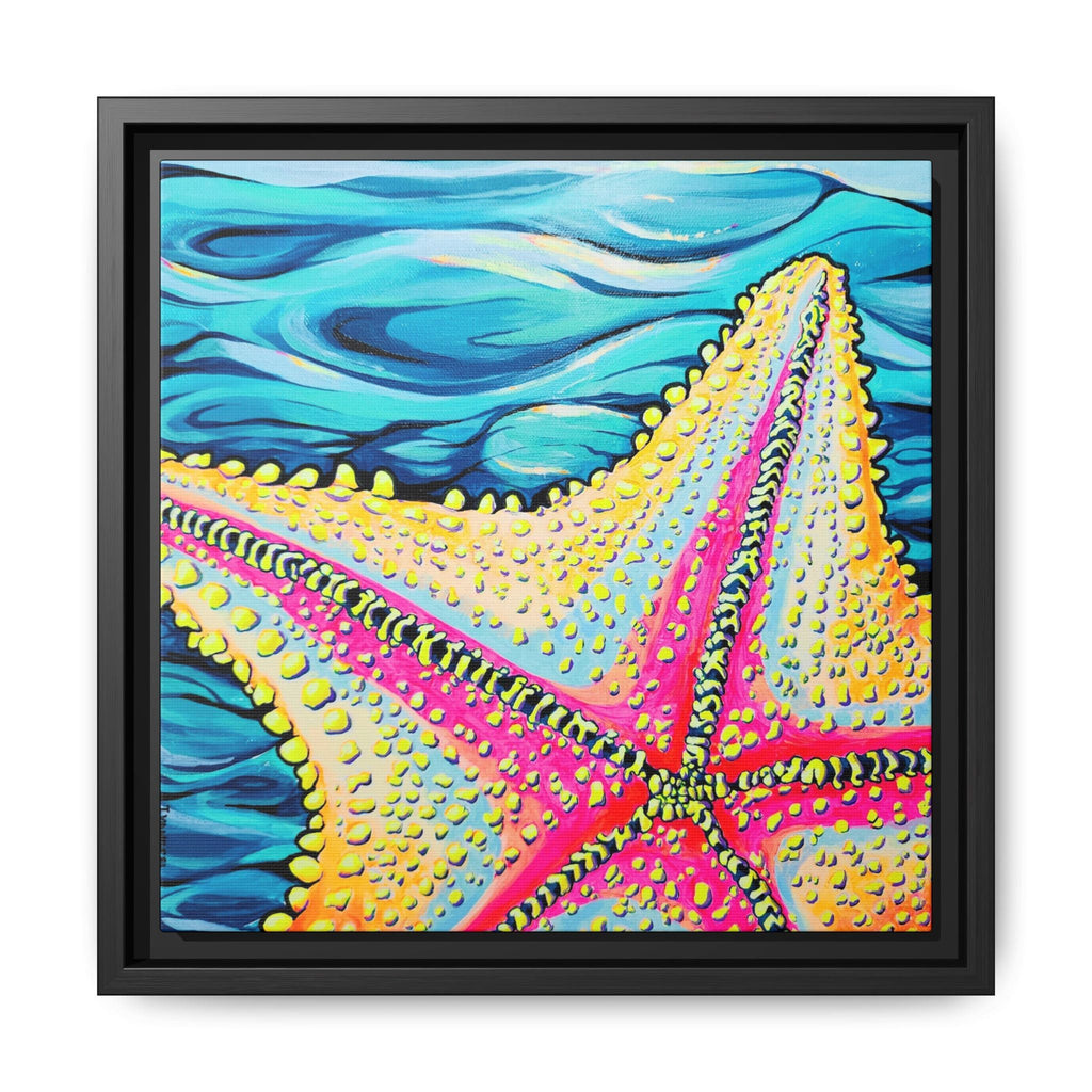 Framed Starfish Beach Bocas Canvas Print