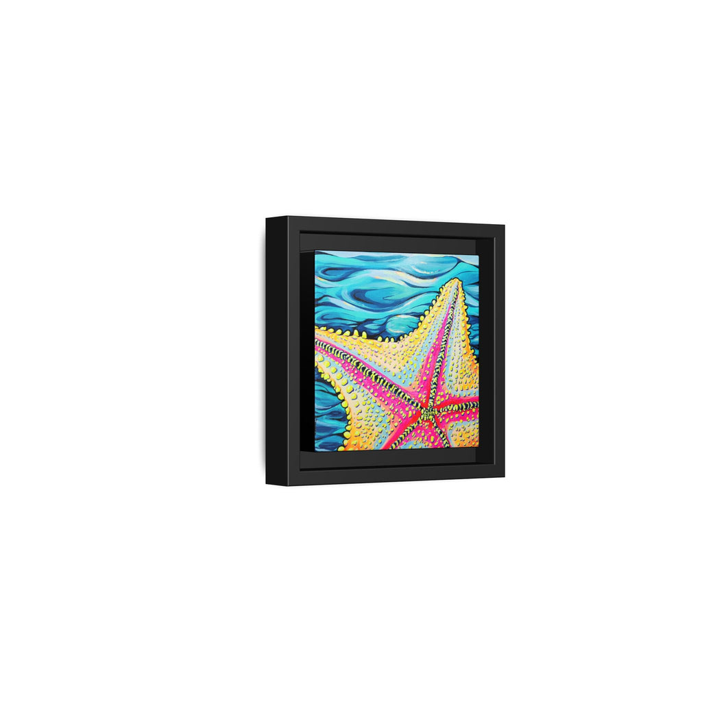 Framed Starfish Beach Bocas Canvas Print
