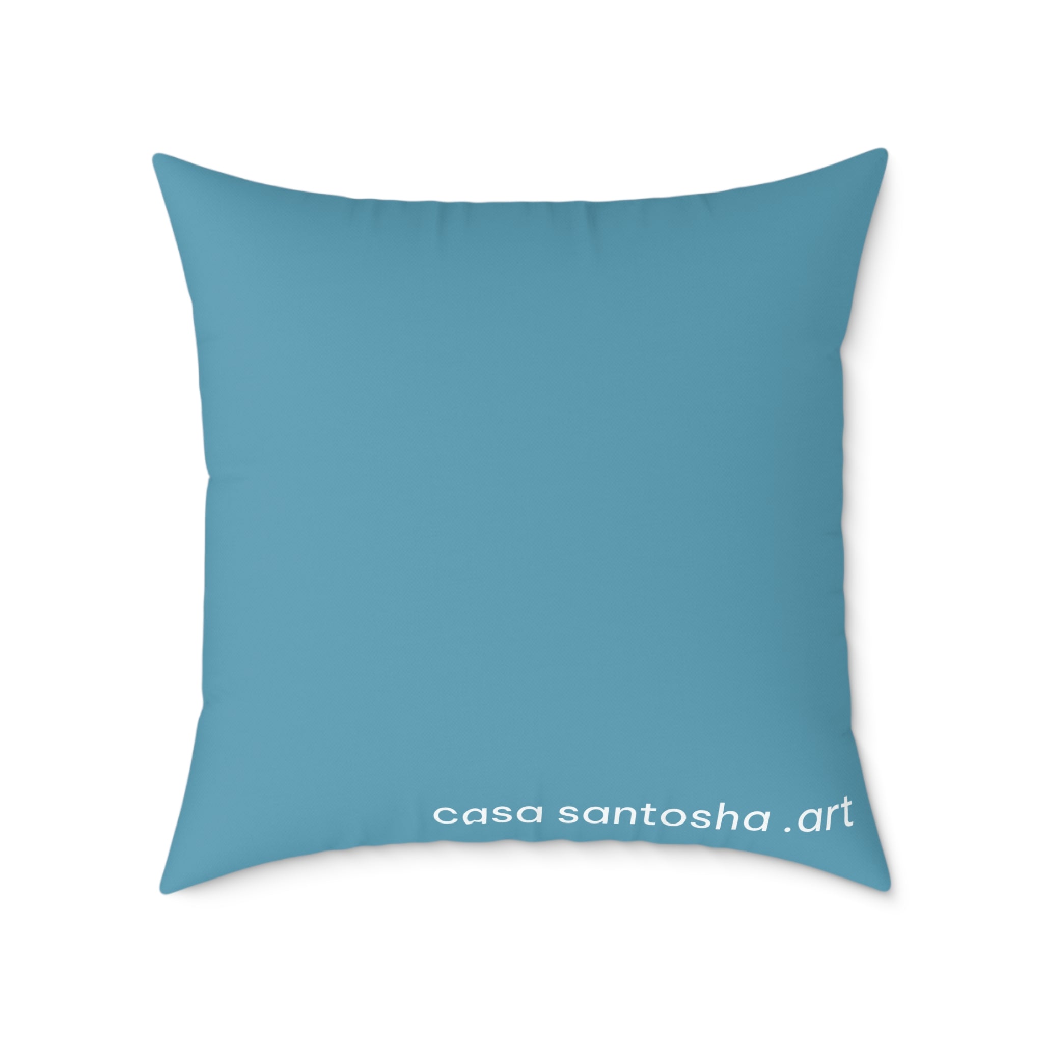 Panga Express Art Canvas Decorative Pillow