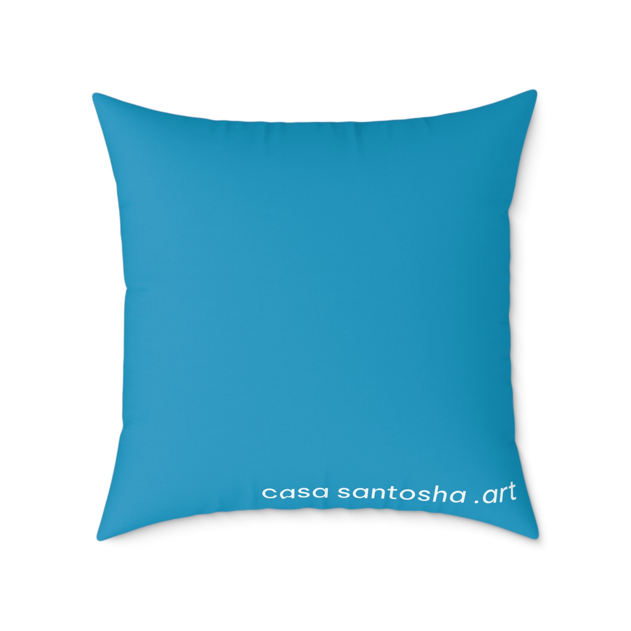 Cyclops Stingray Art Canvas Decorative Pillow