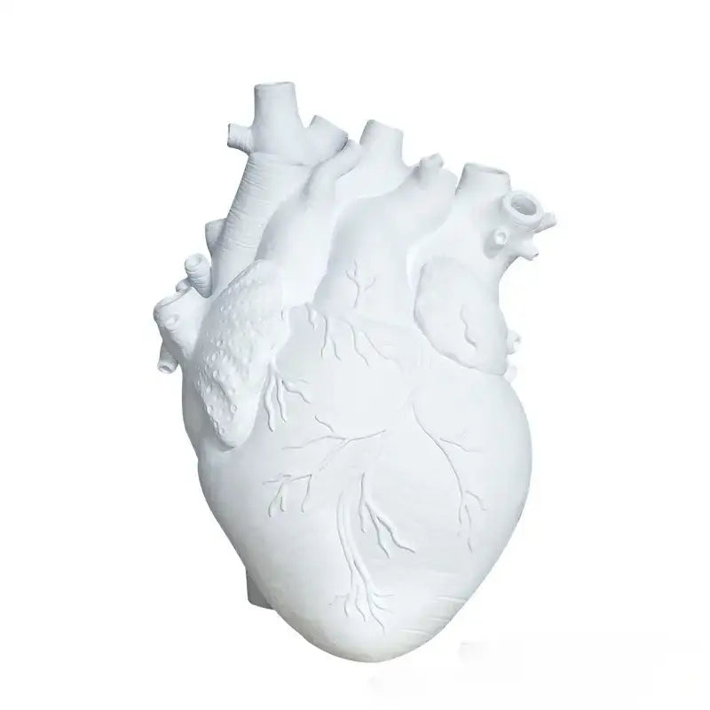 Anatomical white ceramic heart shape vase living room decor