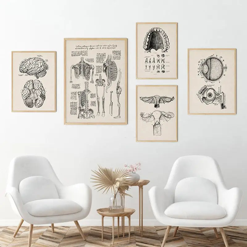 Vintage human anatomy skull art print bedroom ink illustration