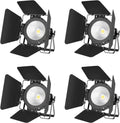 Big dipper 100w cob white stage light with barn doors for studio