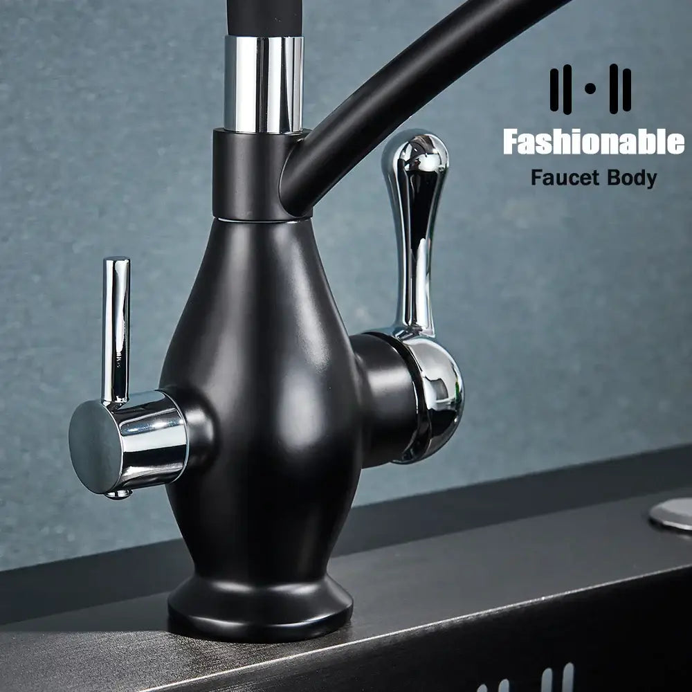 Black and chrome dual spout kitchen faucet with filter nozzle