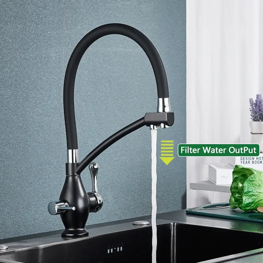Black and chrome dual spout kitchen faucet with filter nozzle
