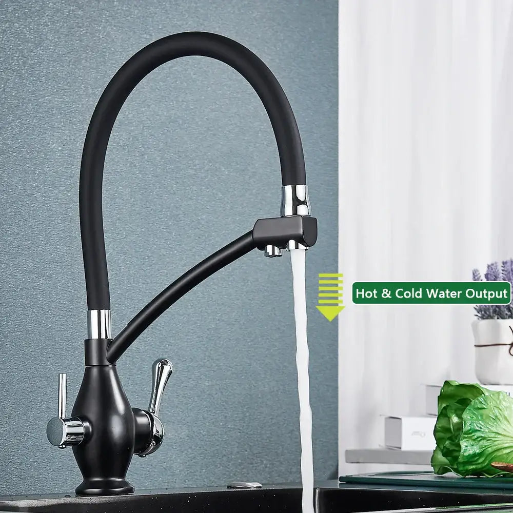 Black and chrome dual spout kitchen faucet with filter nozzle