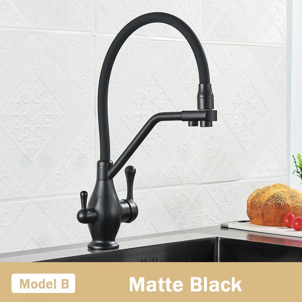 Black and chrome dual spout kitchen faucet with filter nozzle