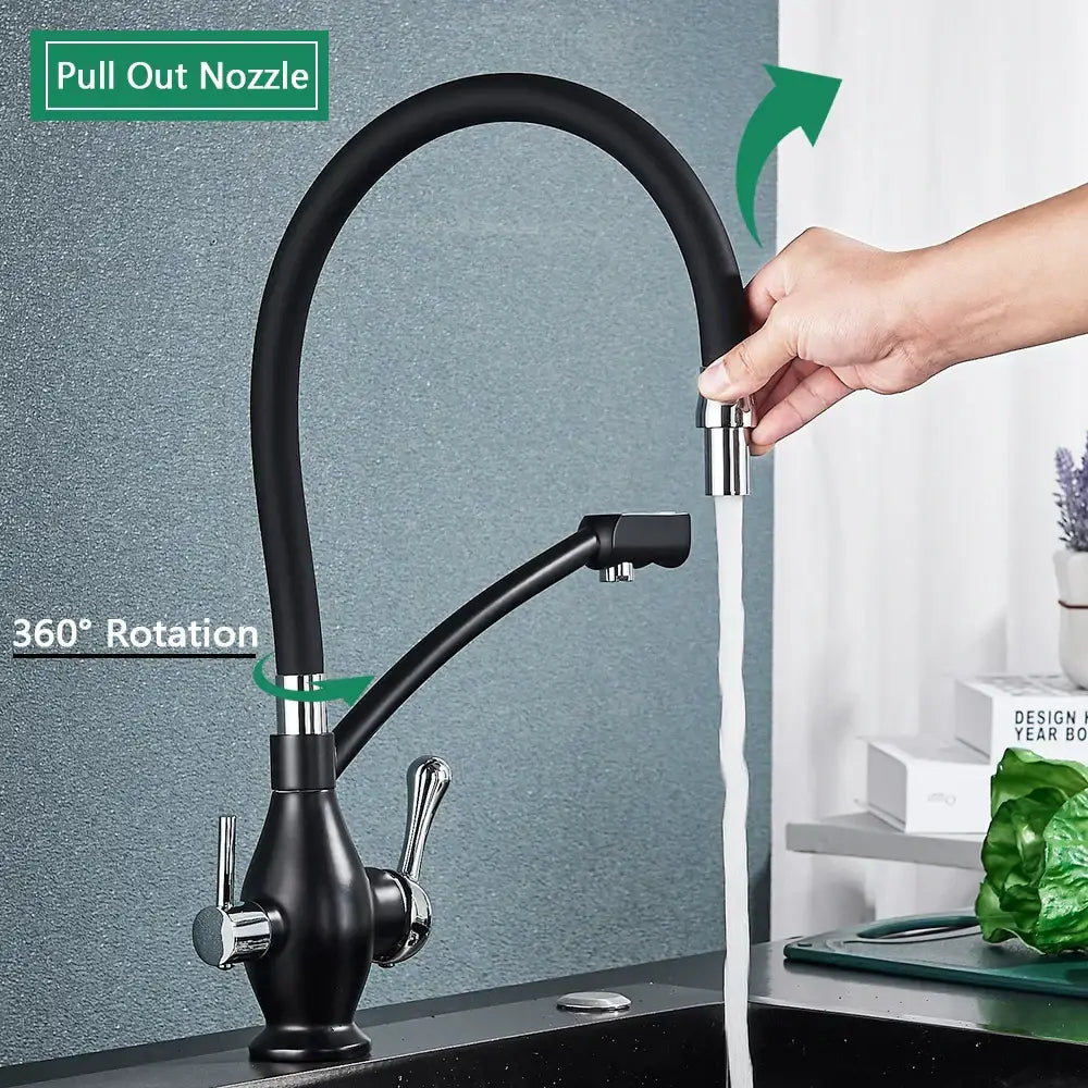 Black and chrome dual spout kitchen faucet with filter nozzle