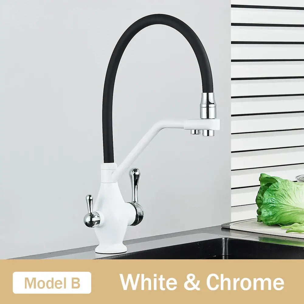 Black and chrome dual spout kitchen faucet with filter nozzle