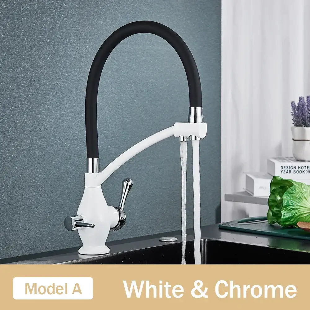 Black and chrome dual spout kitchen faucet with filter nozzle