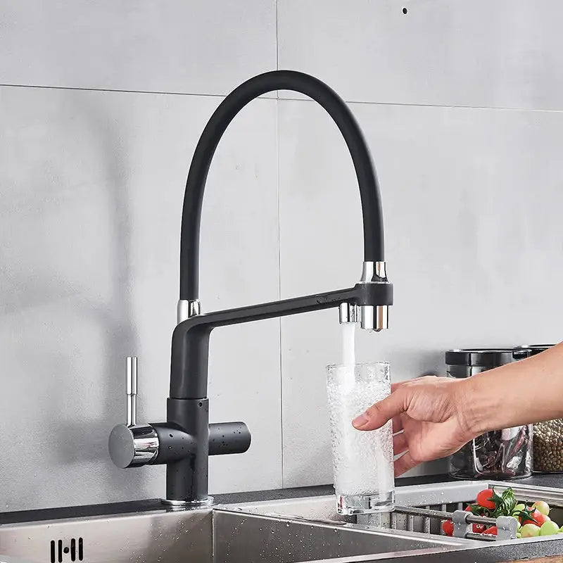 Black & chrome kitchen faucet with pull down sprayer and water filter
