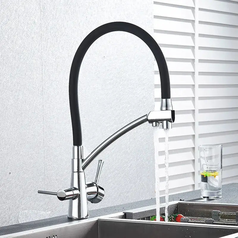 Brass and black dual spout kitchen faucet with dual handles