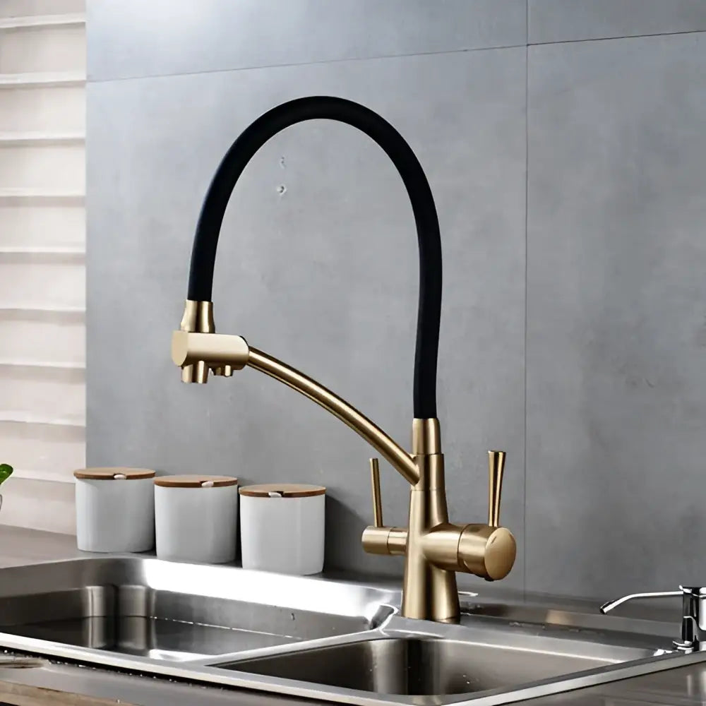 Brass and black dual spout kitchen faucet with dual handles