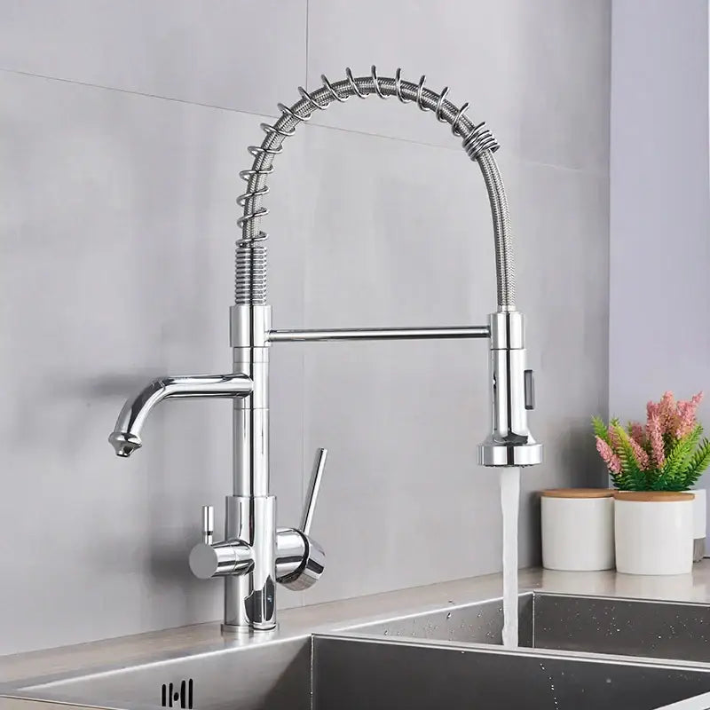 Brass dual spout water filter faucet kitchen coiled pull down spray