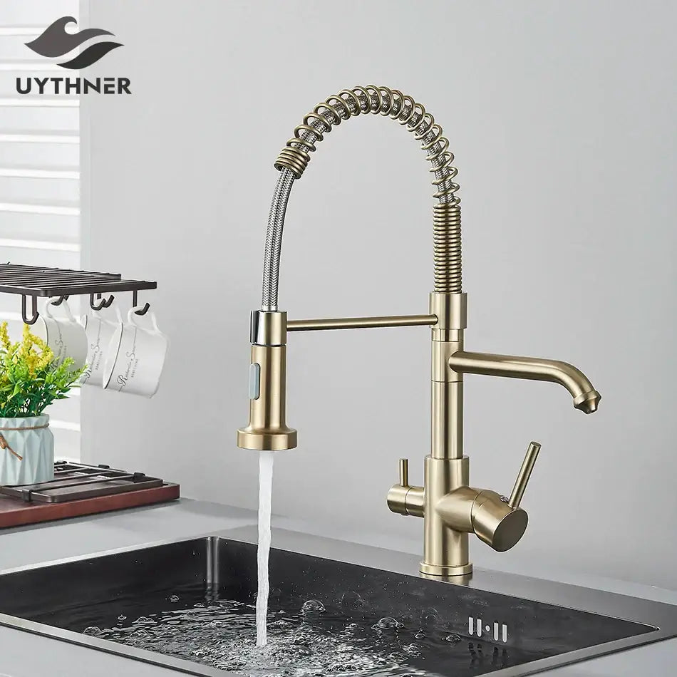 Brass dual spout water filter faucet kitchen coiled pull down spray