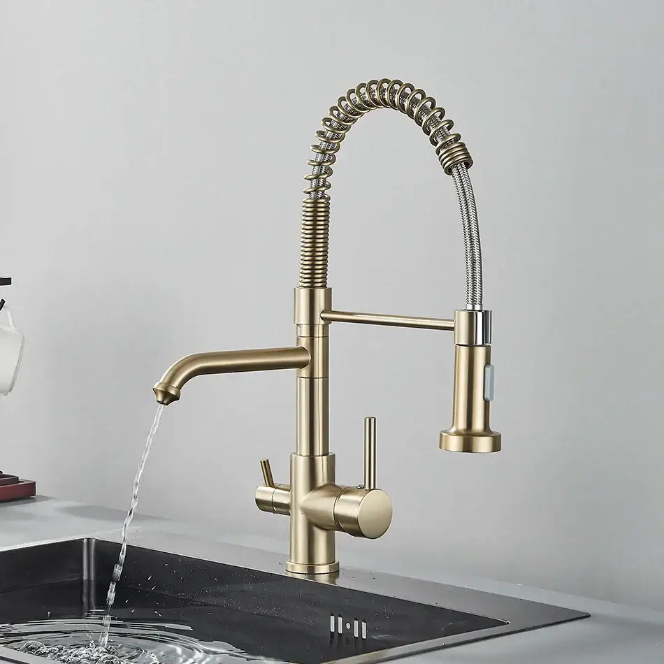 Brass dual spout water filter faucet kitchen coiled pull down spray