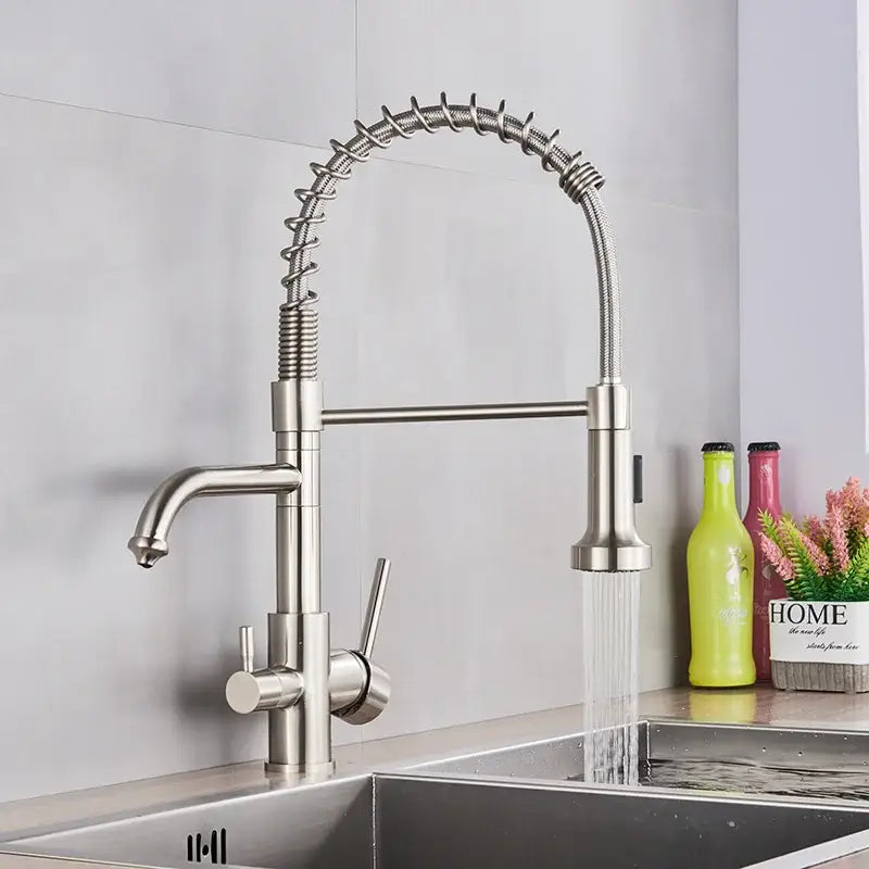 Brass dual spout water filter faucet kitchen coiled pull down spray