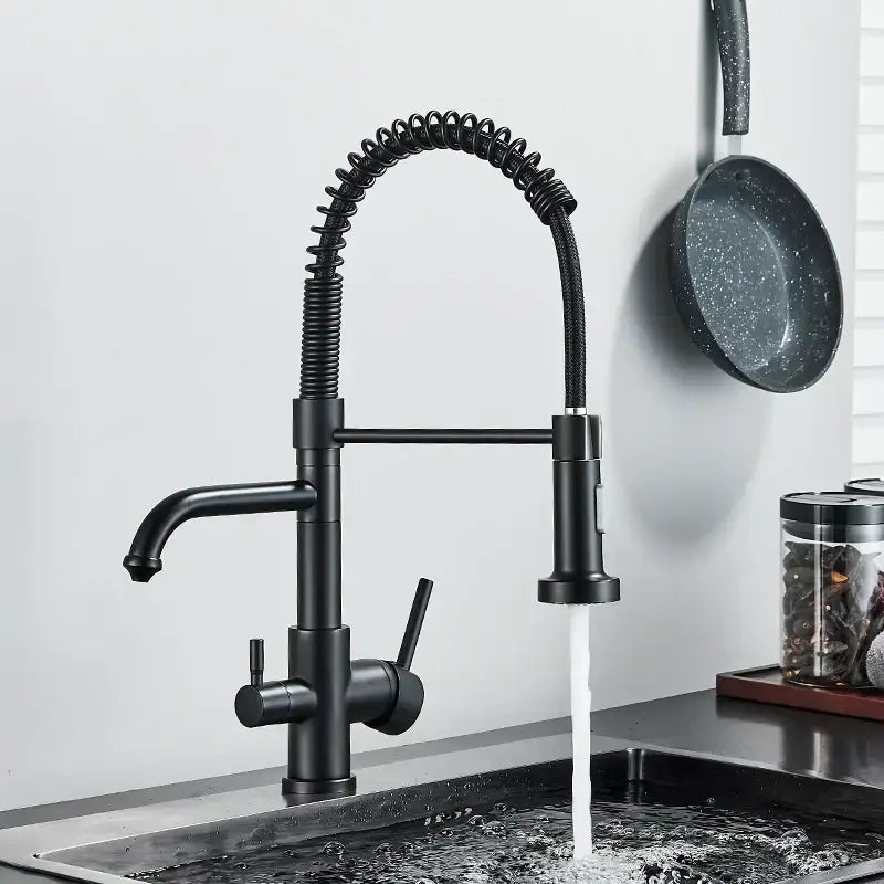 Brass dual spout water filter faucet kitchen coiled pull down spray