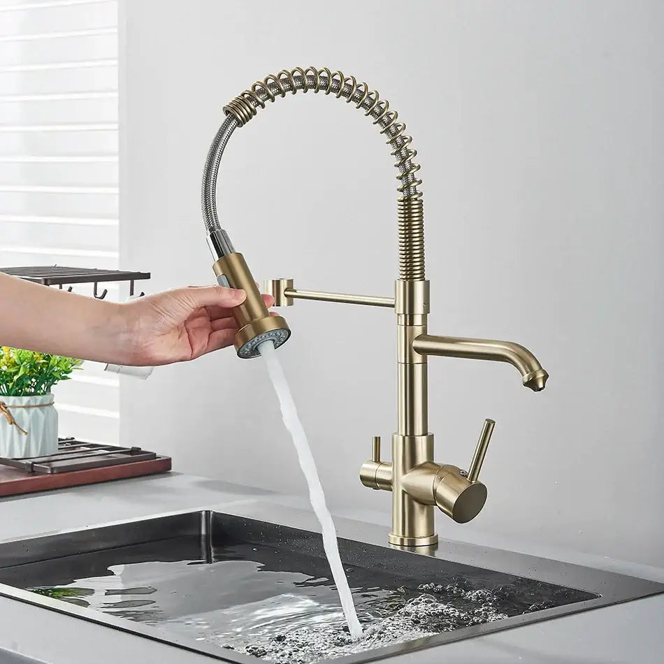Brass dual spout water filter faucet kitchen coiled pull down spray