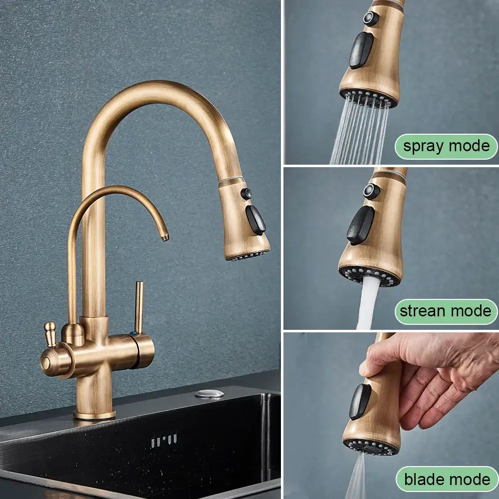 Brass filter kitchen faucet with rotatable spout and pull down sprayer