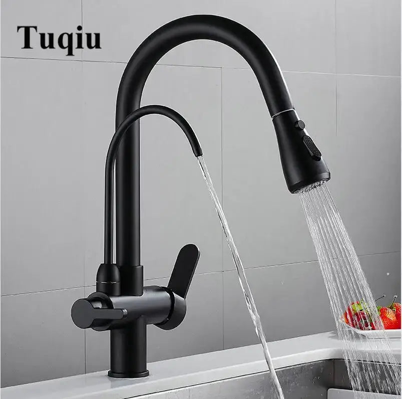 Brass kitchen faucet with pull down black hose and water filter tap