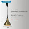 Brass retractable electric 275w food heat pendant light kitchen