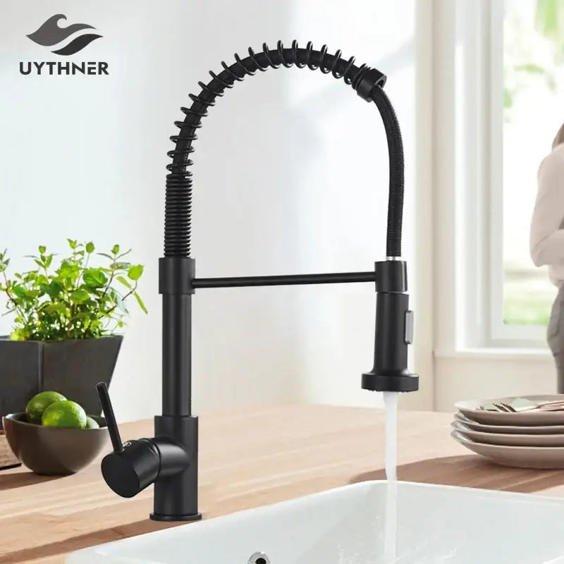 Brushed nickel coiled spring kitchen faucet with pull down sprayer