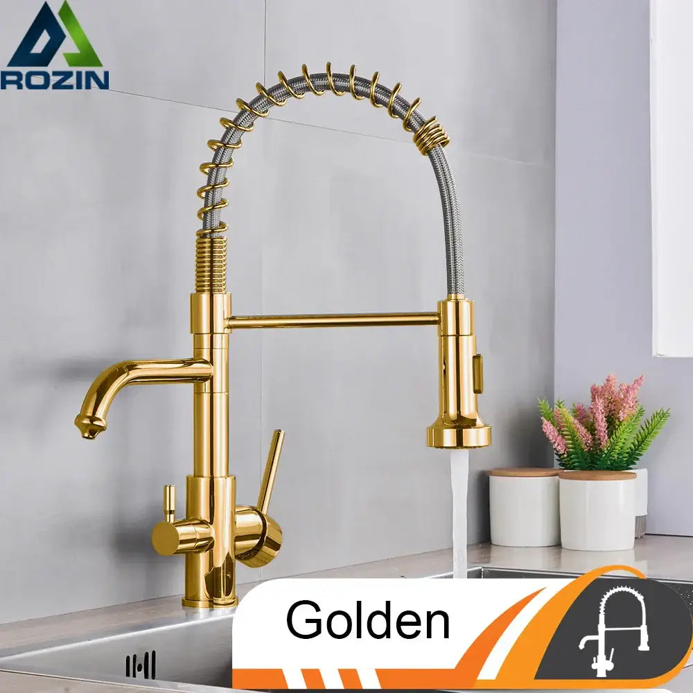 Brushed nickel kitchen faucet with pull down sprayer and spring hose