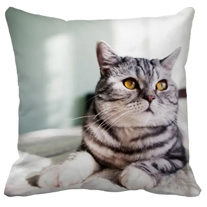 Bubble black cats white square cushion cover living room pillow case