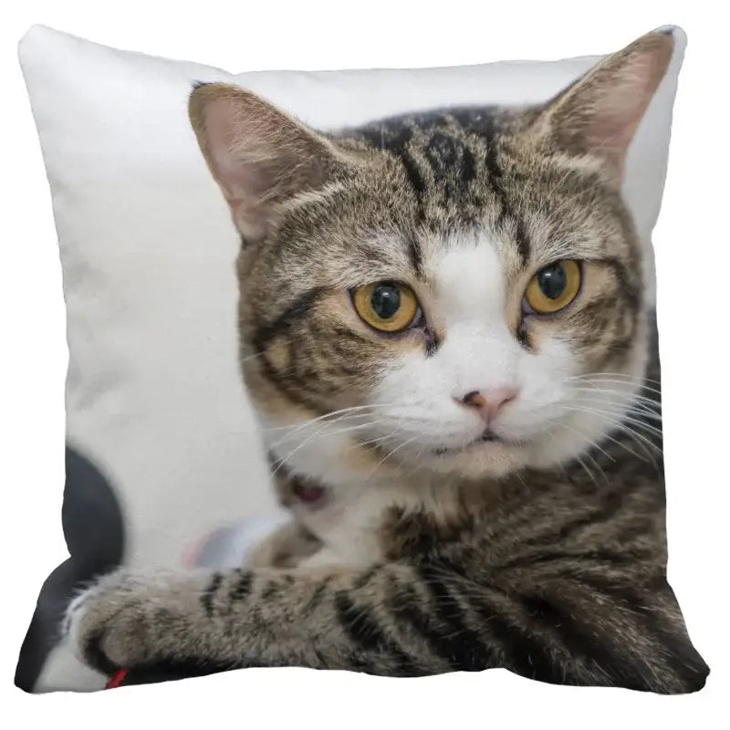 Bubble black cats white square cushion cover living room pillow case