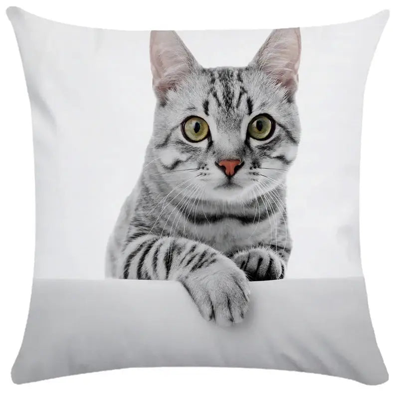 Bubble black cats white square cushion cover living room pillow case