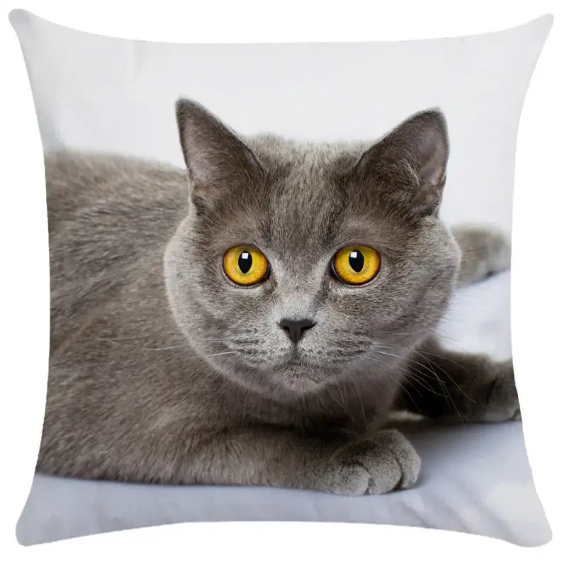 Bubble black cats white square cushion cover living room pillow case