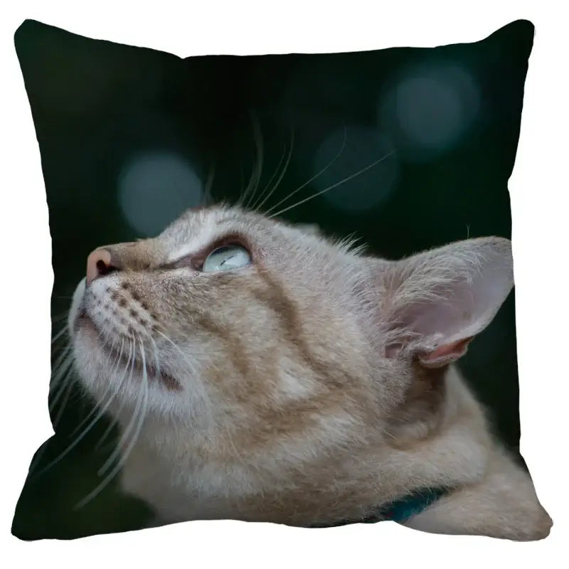 Bubble black cats white square cushion cover living room pillow case