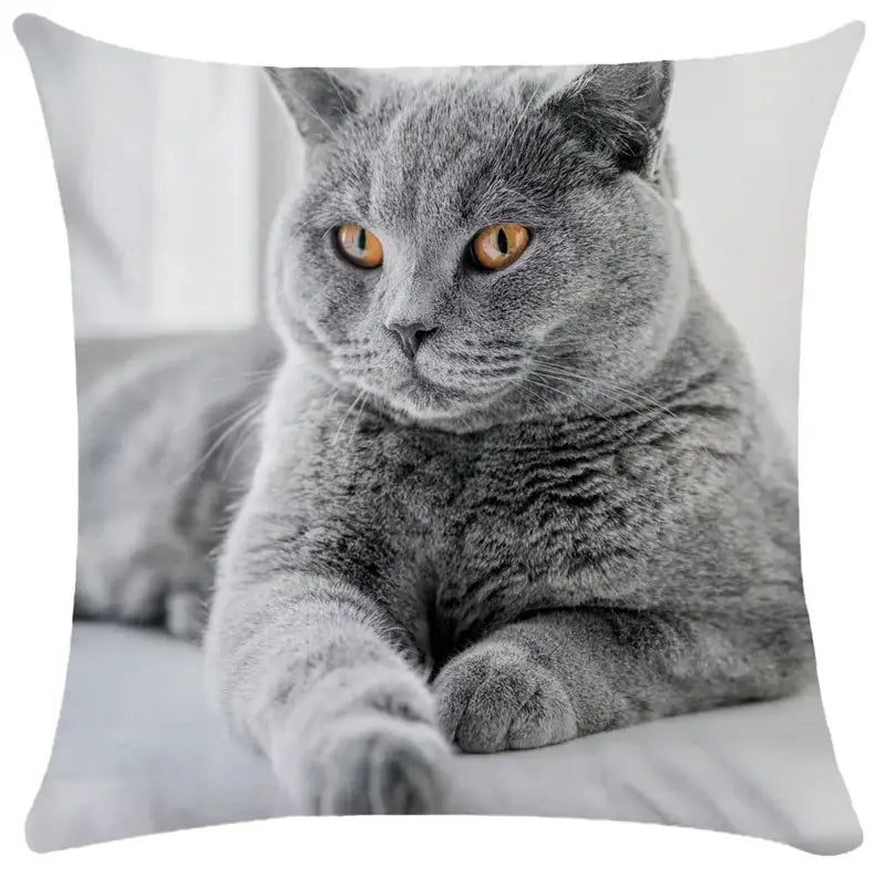 Bubble black cats white square cushion cover living room pillow case