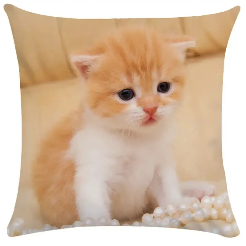 Bubble black cats white square cushion cover living room pillow case