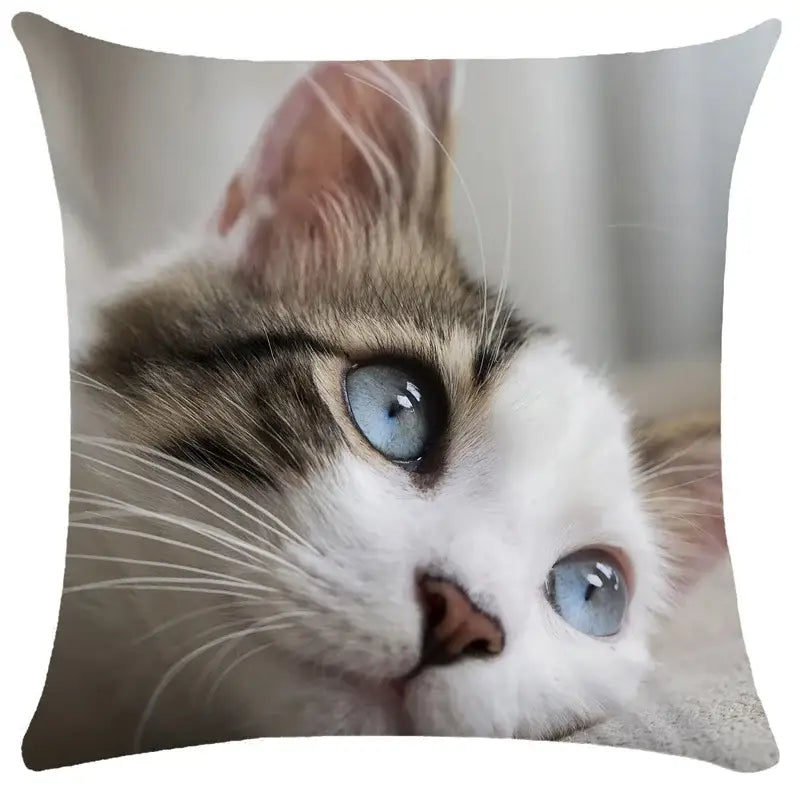 Bubble black cats white square cushion cover living room pillow case