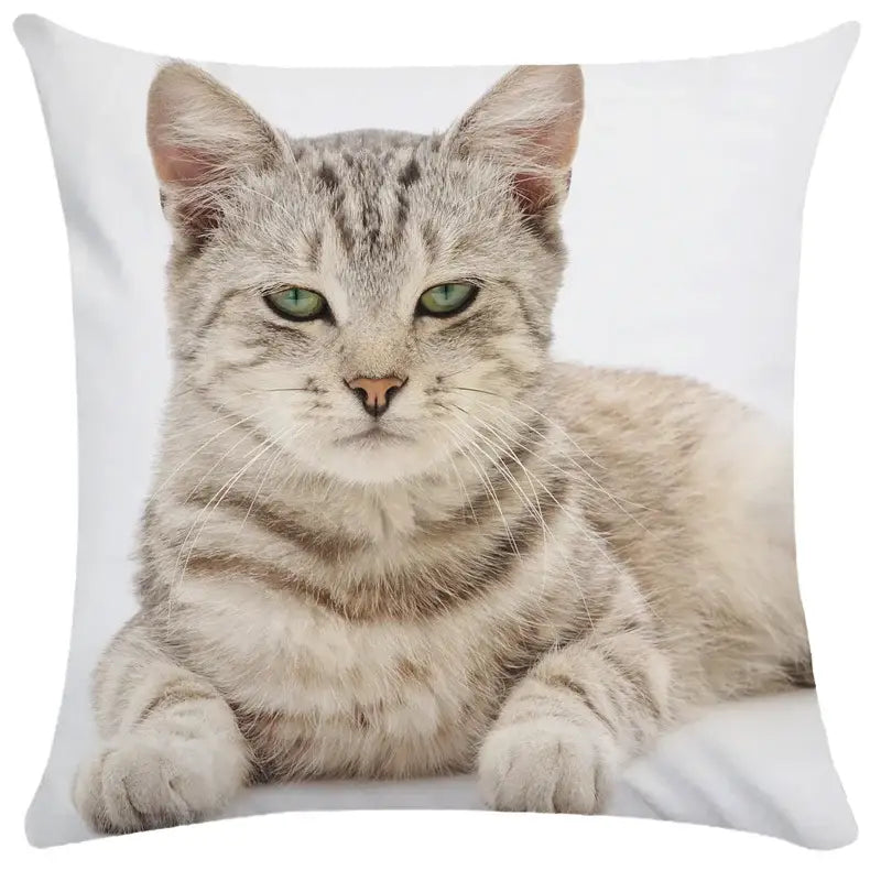 Bubble black cats white square cushion cover living room pillow case