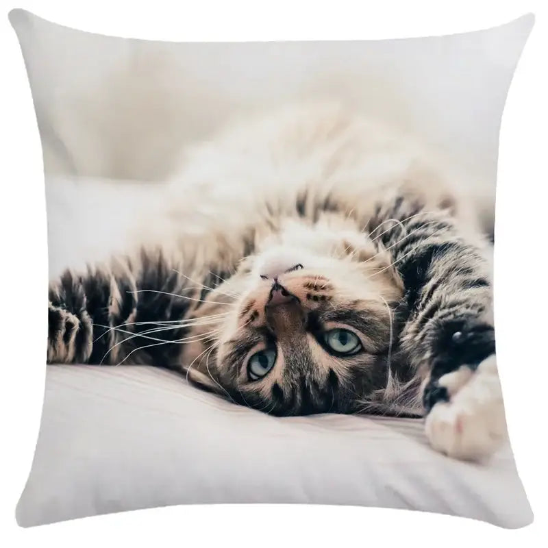 Bubble black cats white square cushion cover living room pillow case
