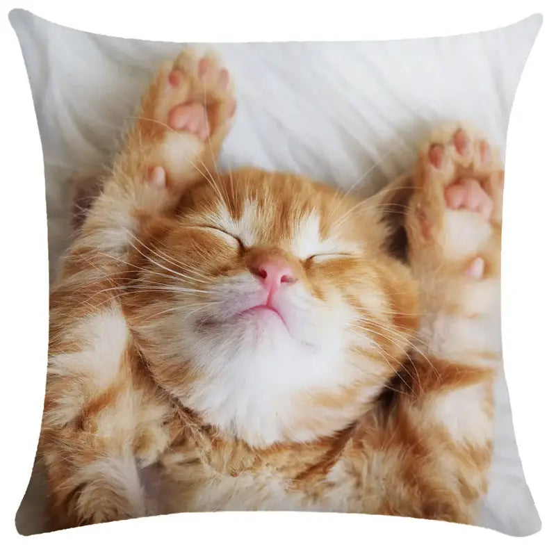 Bubble black cats white square cushion cover living room pillow case
