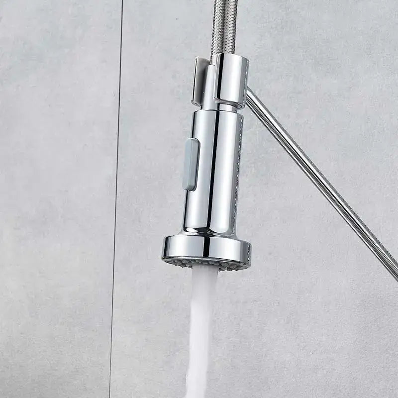 Chrome dual function sprayer head kitchen faucet spout replacement