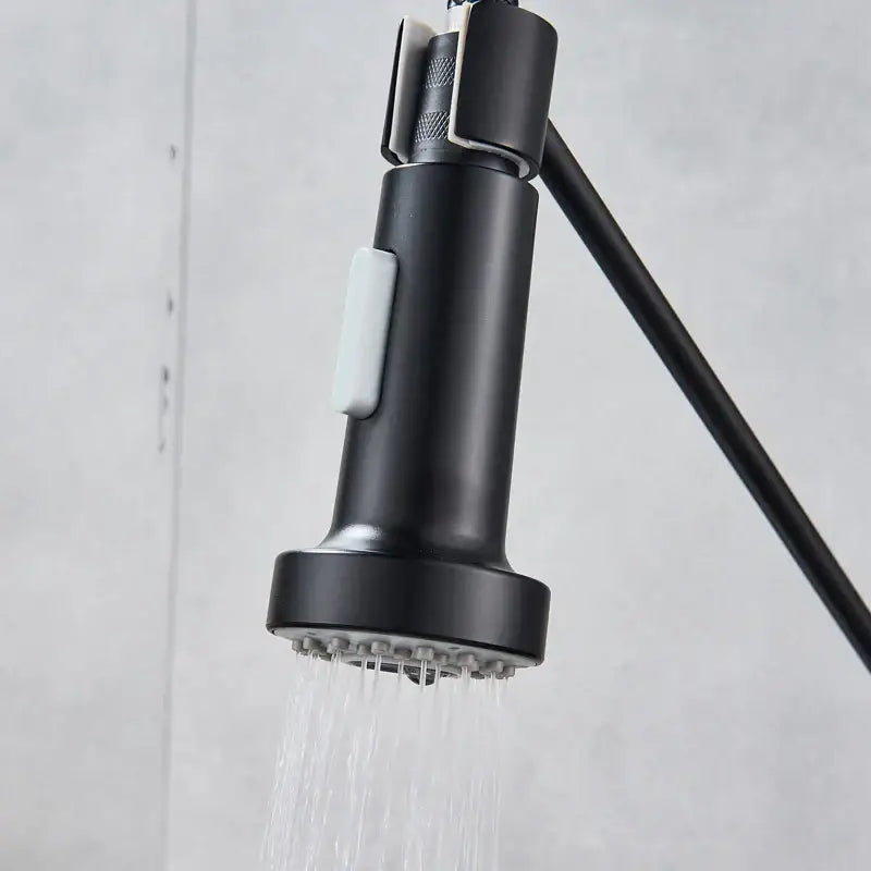 Chrome dual function sprayer head kitchen faucet spout replacement