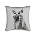 Cute cat anime pillow case – bedroom and living room square cushion