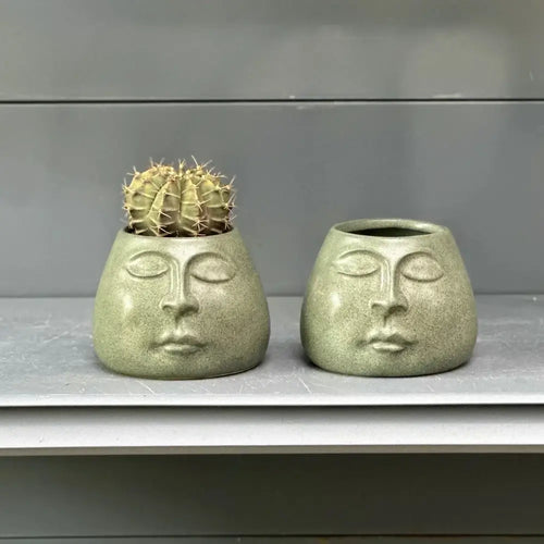 Abstract face ceramic flowerpot sage green living room planter