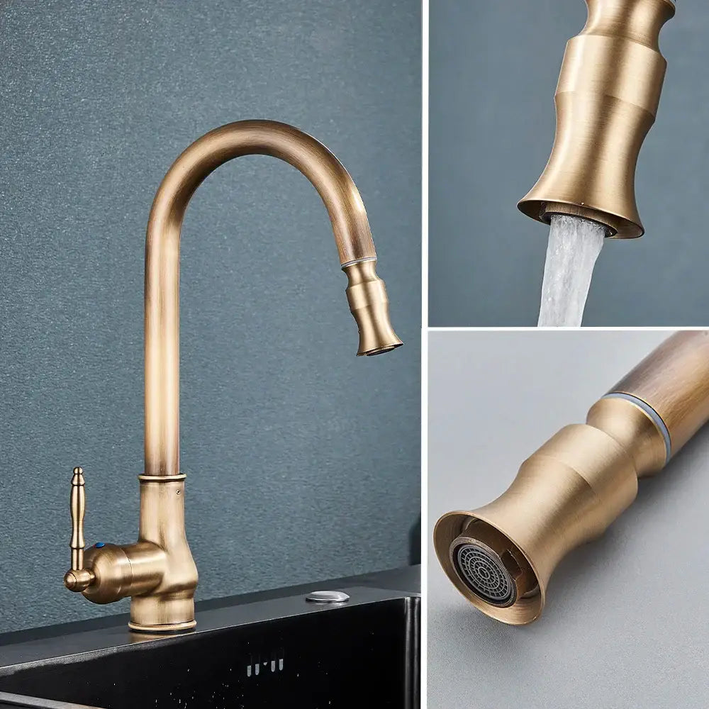 Antique brass kitchen faucet with pull down spout