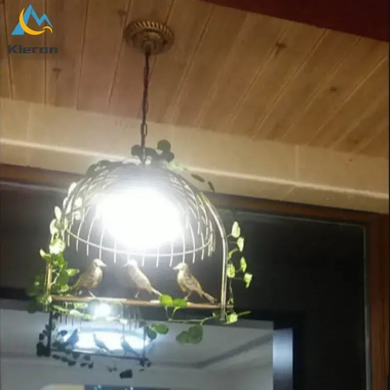 Decorbites birdcage led chandelier black and white bedroom light